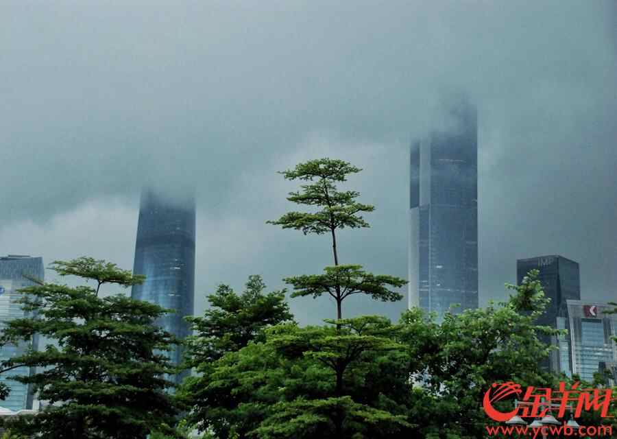 2018年7月23日，今日大暑，“小暑接大暑，热得无处躲。”一年里最热的时候来了，带来滚滚热浪的大暑节气正式登场。受台风外围影响，广州并没有持续“烧烤模式”，反而下起了清凉大雨，市民们享受难得的一丝凉意。金羊网记者 汤铭明 摄
