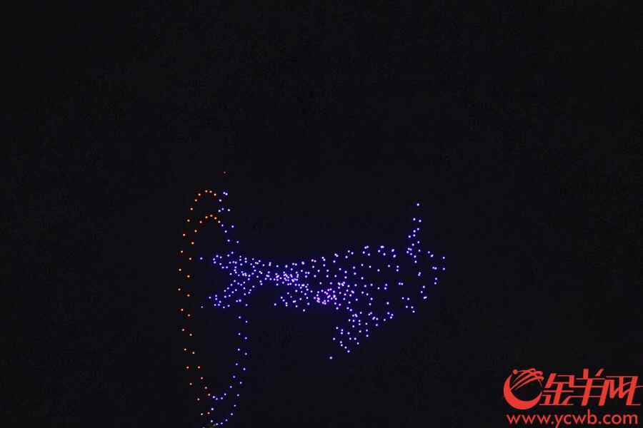 2018年7月23日，珠海长隆海洋王国，近百架无人机变幻出各种图案和排列组合，带领全场进入王者筑梦空间。金羊网记者 宋金峪 摄
