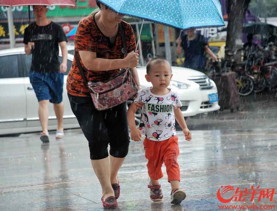 2018年7月23日，今日大暑，“小暑接大暑，热得无处躲。”一年里最热的时候来了，带来滚滚热浪的大暑节气正式登场。受台风外围影响，广州并没有持续“烧烤模式”，反而下起了清凉大雨，市民们享受难得的一丝凉意。金羊网记者 汤铭明 摄
