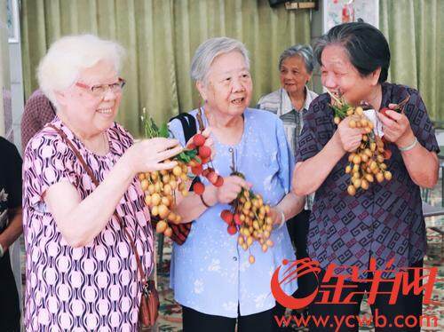 转赠和喂鸟 海珠湿地以这种方式回馈社会与自然