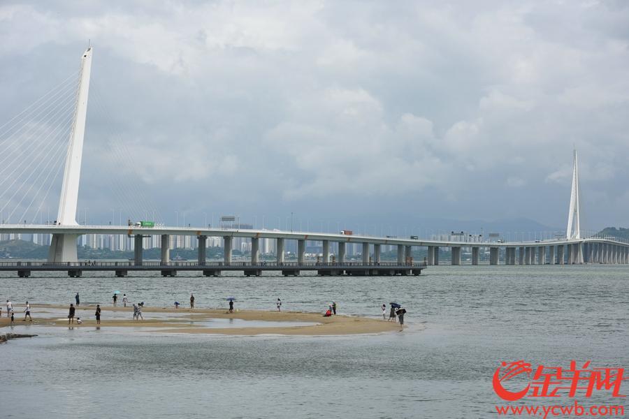 台风没有给深圳湾带来强风暴雨，人们在深圳湾大桥附近游玩儿。王磊 摄