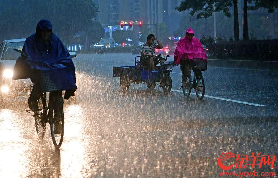 广州市气象局于09月07日17时24分将天河区暴雨黄色预警升级为橙色预警，花城大道附近倾盆暴雨让不少人出行受到了影响。 金羊网记者 邓勃 摄