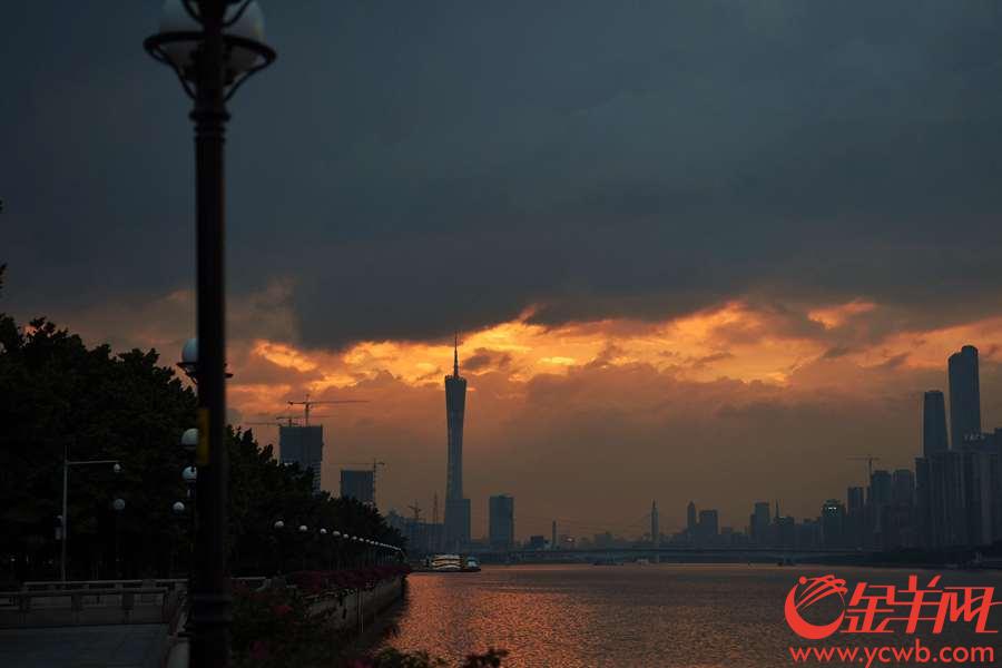 2018年9月12日，台风百里嘉来袭前，黄昏时分的广州天空绽放一片金光。 小蛮腰在矗立江边，沐浴在一片温柔的光芒中。 金羊网记者 周巍 摄