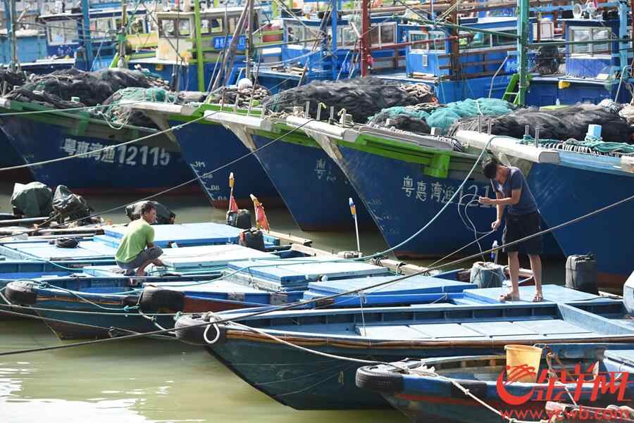 澳头港，渔民用绳索加固渔船避风。王磊摄