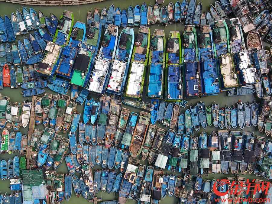 澳头港，渔船挤在港湾内躲避超强台风。王磊摄