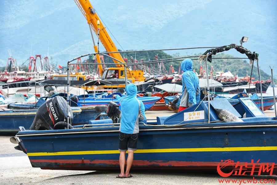 小桂码头，渔船快艇陆续回港上岸躲避台风。王磊摄