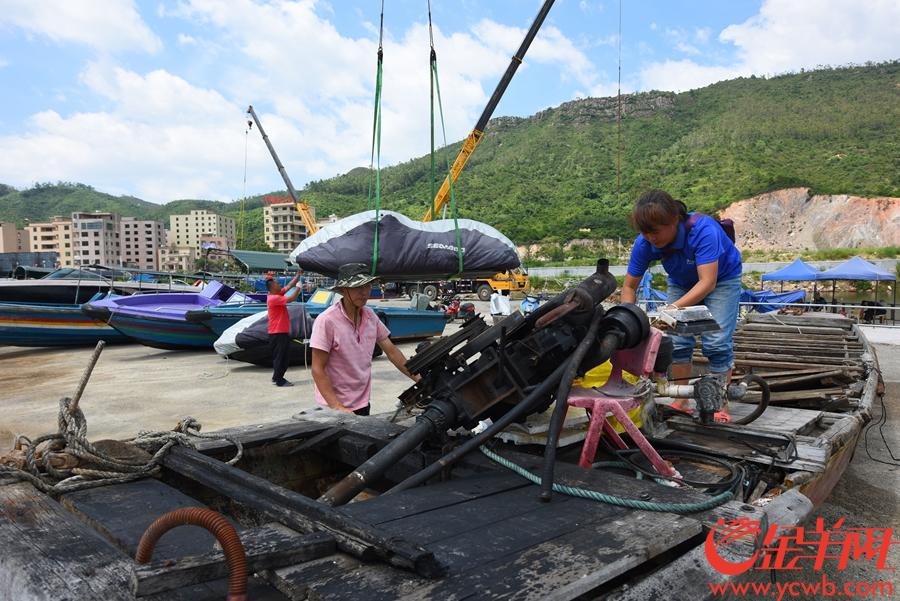 小桂码头,渔民整理渔船以抵御强台风.王磊摄