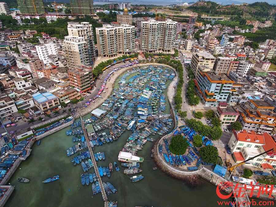 澳头港，渔船挤在港湾内躲避超强台风。王磊摄