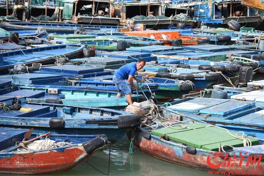 澳头港，渔民用绳索加固渔船避风。王磊摄
