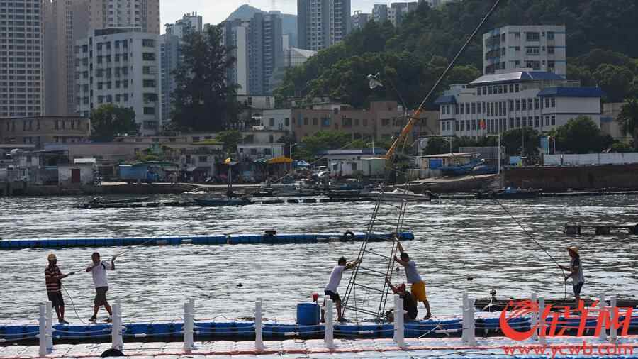 澳头港，人们拆除树立在码头浮筒上的灯架，以免台风吹倒造成危险。
王磊摄