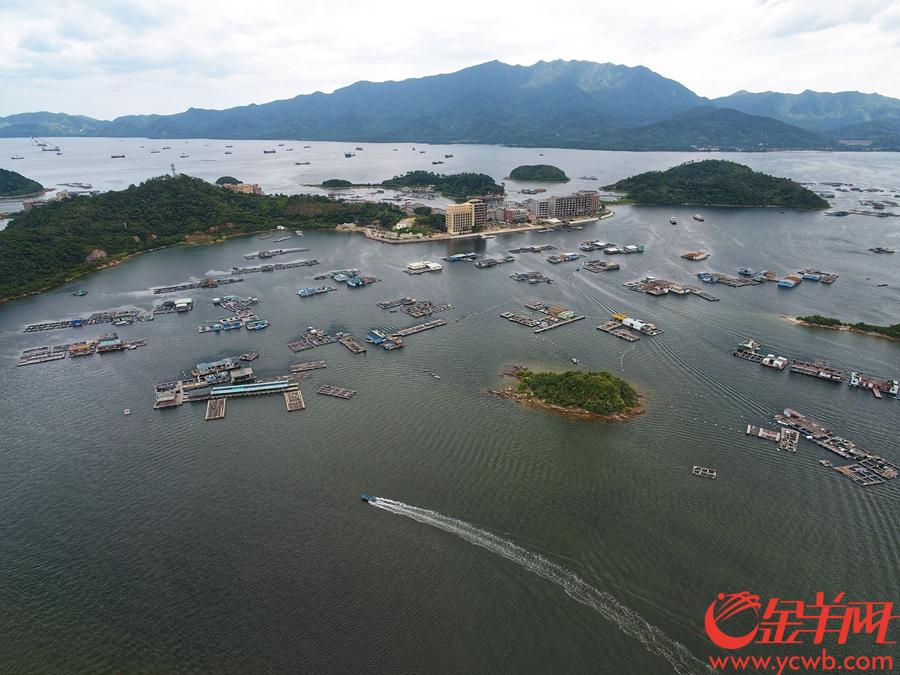 小桂码头附近大洲头及附近岛屿,海面上还有很多鱼排.王磊摄