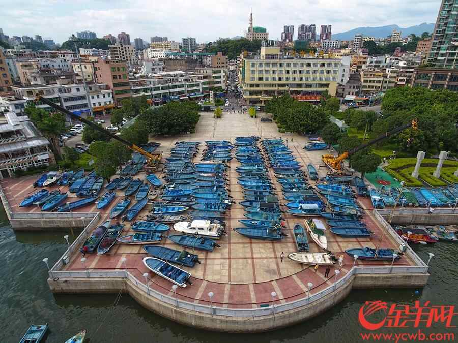 澳头港，快艇、渔船陆续回港上岸躲避超强台风。王磊摄