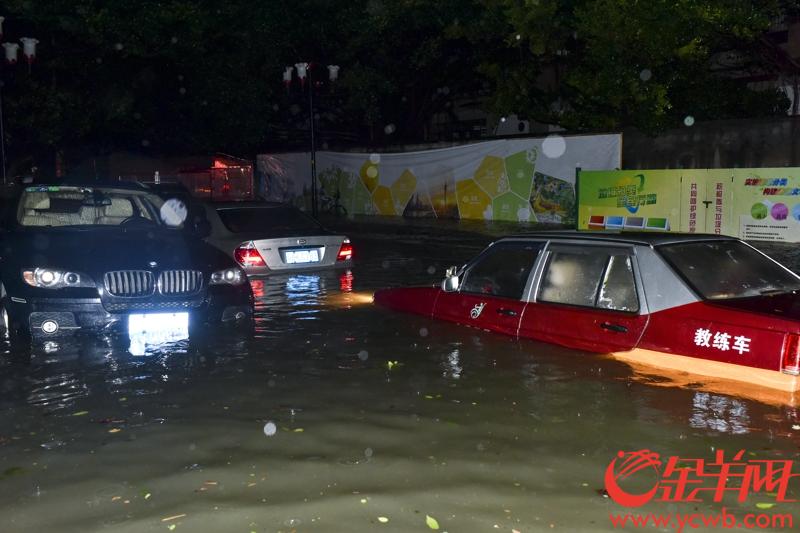 江湾桥底至仲恺农业技术学院一带，水浸严重，大量小车被淹。  记者 宋金峪 摄