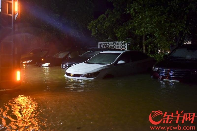 江湾桥底至仲恺农业技术学院一带，水浸严重，大量小车被淹。  记者 宋金峪 摄