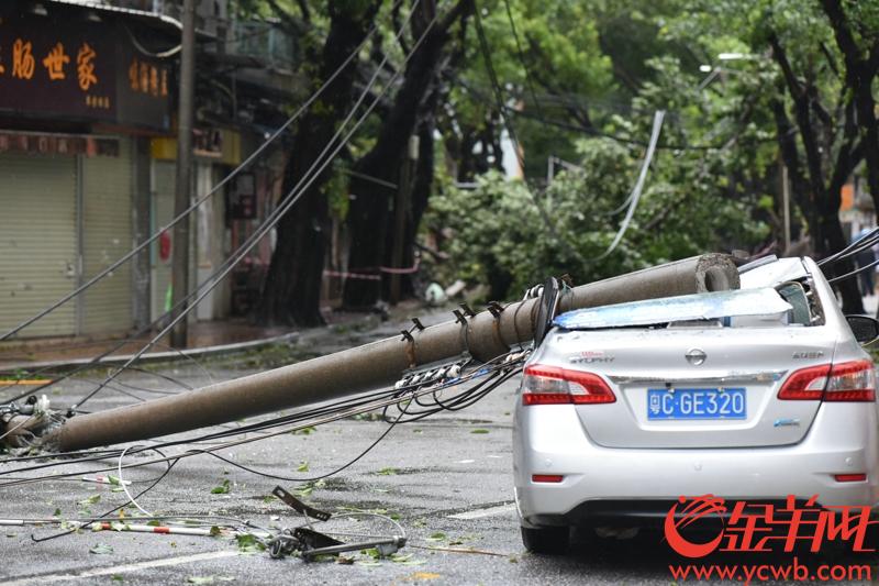 2018年9月16日下午，台风山竹影响广州市区。图为海珠区草芳围路面一片狼藉，树倒电线杆砸中小汽车。 记者 宋金峪 摄