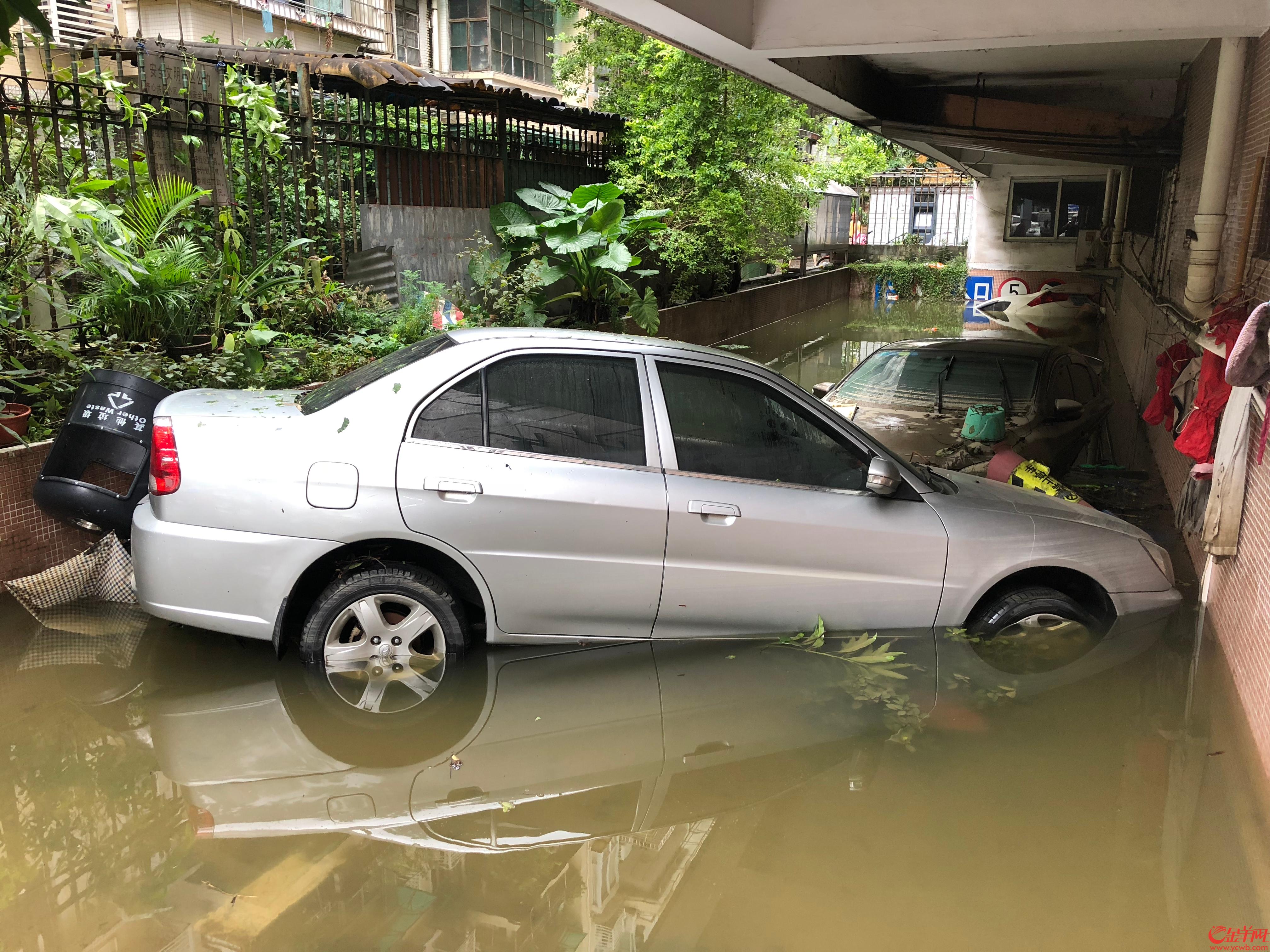 江湾桥南一停车场有车辆被淹 宋金峪 摄