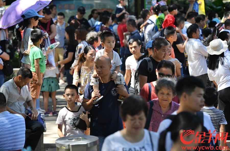 2018年10月3日，国庆长假第三天，广州动物园迎来客流高峰，家庭亲子游成为主力军，游人们漫步在动物园内，享受着幸福的假期时光。  金羊网记者  汤铭明 摄影报道