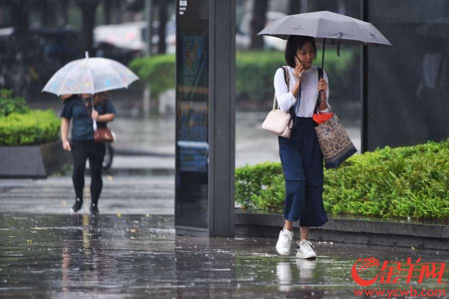 2018年10月10日，一场秋雨落在广州城。绵绵雨丝让市民多少有些猝不及防。没带雨具的市民要么冒雨而行，要么在屋檐下躲避，只能羡慕那些带了伞的行人。  金羊网记者 周巍 摄