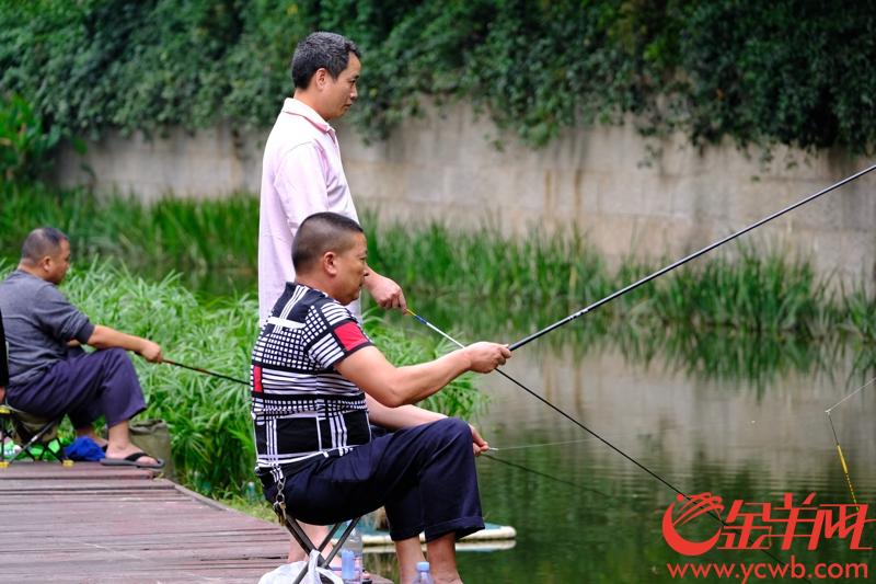 近日，不少前往广州荔枝湾休闲的市民发现，这里河涌的水变得越来越清了，仔细看水里鱼儿成群，水草摇曳，不少人带来鱼竿，悠闲垂钓，“收获”颇丰呢。“看看，这里大概有4斤鱼呢，个头还不小呢。”一个来钓鱼的大叔兴奋地打开他的鱼篓，向围观人展示他的渔获。“你看看，如今河水多清，变化很大，相关部门大力整治，越搞越好，这才是名符其实的荔枝湾。”有市民大赞水质改善明显。 记者 陈秋明 摄影报道