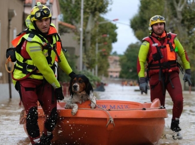  法国南部暴雨引发洪灾 消防员划船救助狗狗超暖心
