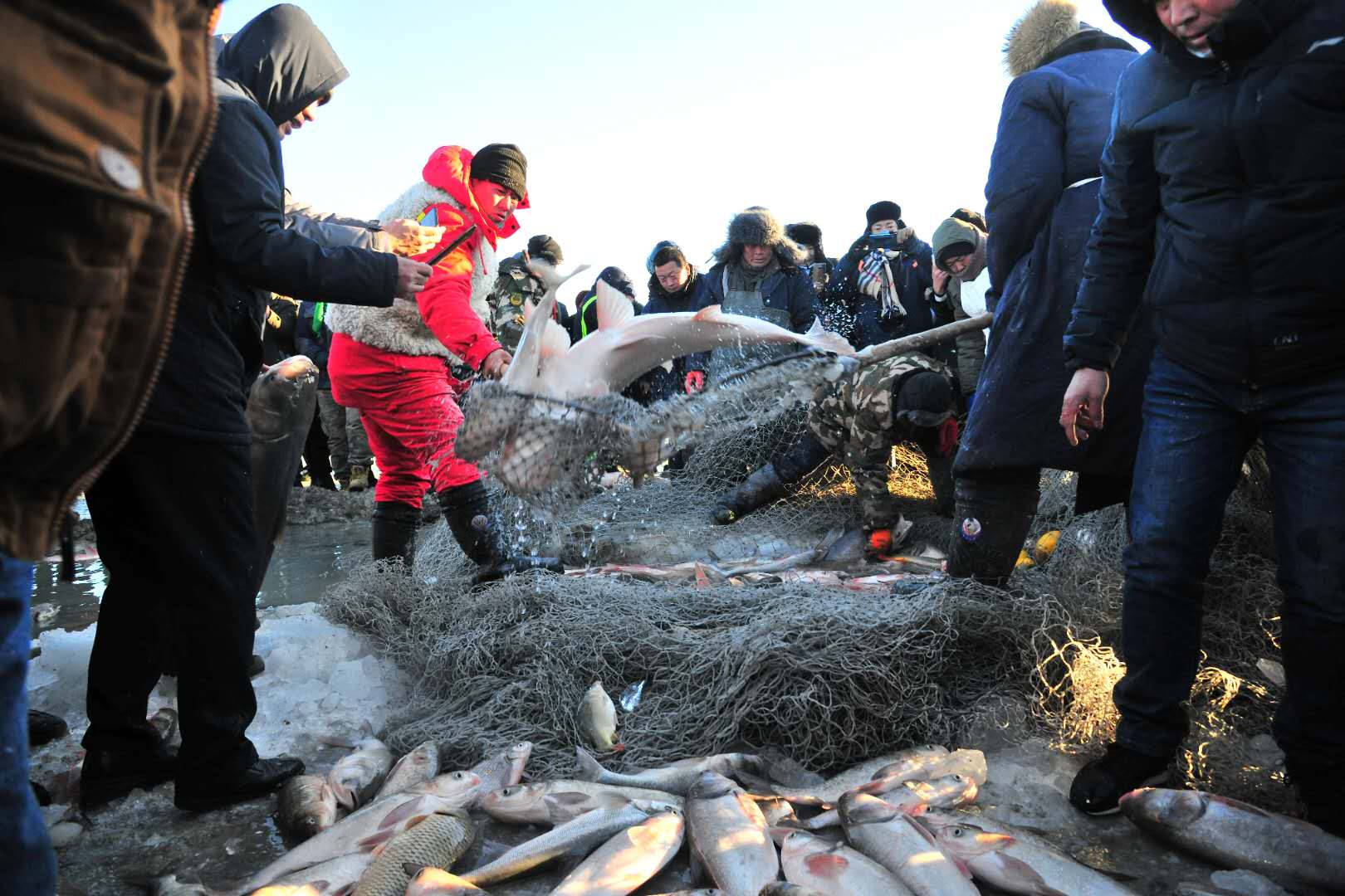 中国 中国聚焦 据介绍,当天中午,99999元起拍的2018查干湖冬捕头鱼