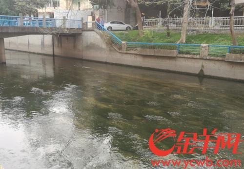 去年广州市东濠涌水质5个月均为II类标准
