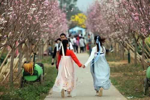 两位汉服爱好者在赏樱花.jpg