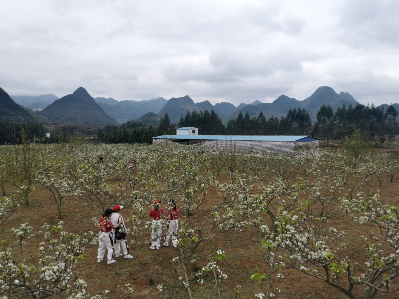 广东阳山县黎埠镇人口_广东阳山县属于什么市(3)