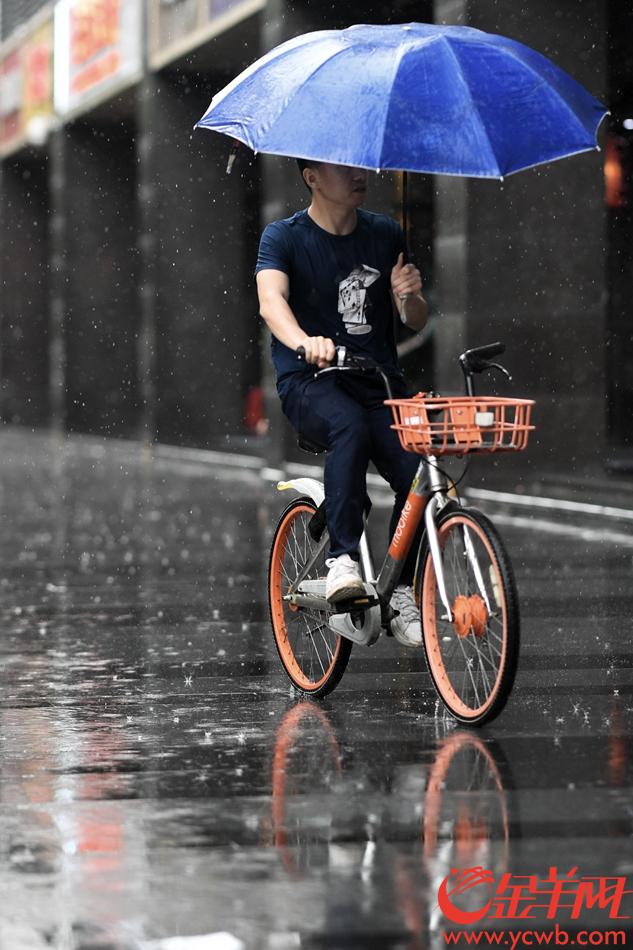 滂沱大雨让城市多了一分寂静,雨中人或形单影只,或三两结伴撑伞,往日