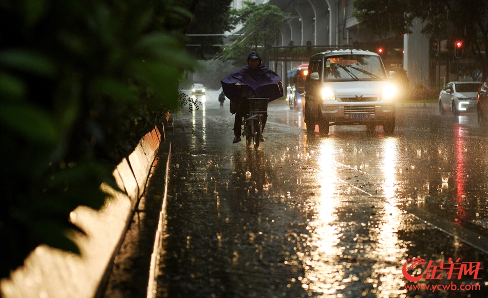 2019年4月30日早晨,一场大雨突降羊城,风雨扰乱了人们上班的步伐,带了