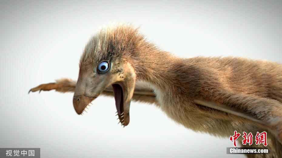 科学家发现1.63亿年前新型恐龙 有蝙蝠翅膀和绒毛