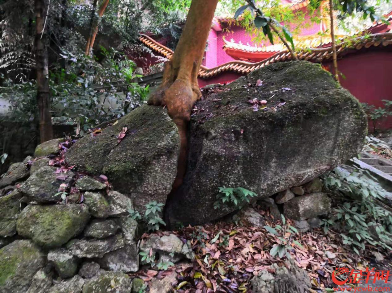 【桂中·广西旅游新方向】百余镍币投杯不溢!桂平西山