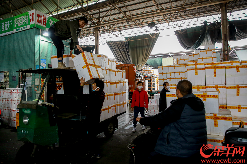 2020年2月6日早上,广州江南果菜批发市场,供销商正在打包分发农产品。有档口日供武汉精品南瓜接近2吨,并在自家信息板打出“武汉加油 中国加油”。
记者从广州江南果菜批发市场获悉,自2月4日开始,批发市场每天的蔬菜交易量已经达到7800吨。助力抗疫,江南市场号召商户积极组织货源,为城市提供稳定、安全和足量的农产品供应。由广州江南市场、江秾汇、江楠鲜品等联合捐赠的首批货值近100万元人民币的民生物资,也于2月4日抵达武汉并分批派送给武汉多家医疗机构。金羊网记者 宋金峪 摄