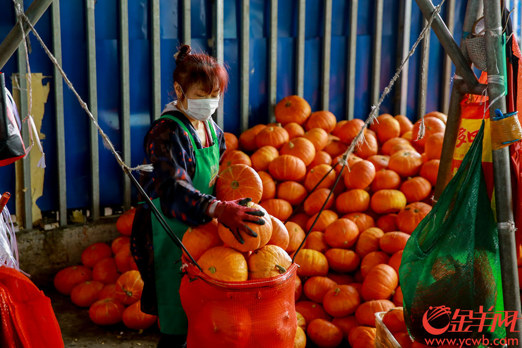 2020年2月6日早上,广州江南果菜批发市场,供销商正在打包分发农产品。有档口日供武汉精品南瓜接近2吨,并在自家信息板打出“武汉加油 中国加油”。
记者从广州江南果菜批发市场获悉,自2月4日开始,批发市场每天的蔬菜交易量已经达到7800吨。助力抗疫,江南市场号召商户积极组织货源,为城市提供稳定、安全和足量的农产品供应。由广州江南市场、江秾汇、江楠鲜品等联合捐赠的首批货值近100万元人民币的民生物资,也于2月4日抵达武汉并分批派送给武汉多家医疗机构。金羊网记者 宋金峪 摄