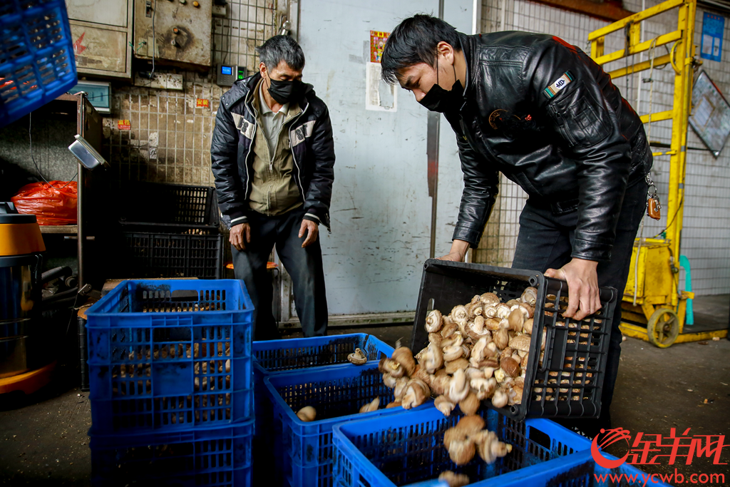 2020年2月6日早上,广州江南果菜批发市场,供销商正在打包分发农产品。有档口日供武汉精品南瓜接近2吨,并在自家信息板打出“武汉加油 中国加油”。
记者从广州江南果菜批发市场获悉,自2月4日开始,批发市场每天的蔬菜交易量已经达到7800吨。助力抗疫,江南市场号召商户积极组织货源,为城市提供稳定、安全和足量的农产品供应。由广州江南市场、江秾汇、江楠鲜品等联合捐赠的首批货值近100万元人民币的民生物资,也于2月4日抵达武汉并分批派送给武汉多家医疗机构。金羊网记者 宋金峪 摄