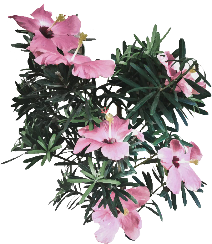 大型自然园艺类纪录片 花开中国 五一假期隆重开播