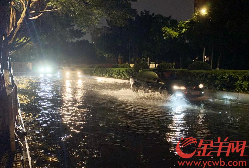 夜来风雨声,广州水浸树倒不少