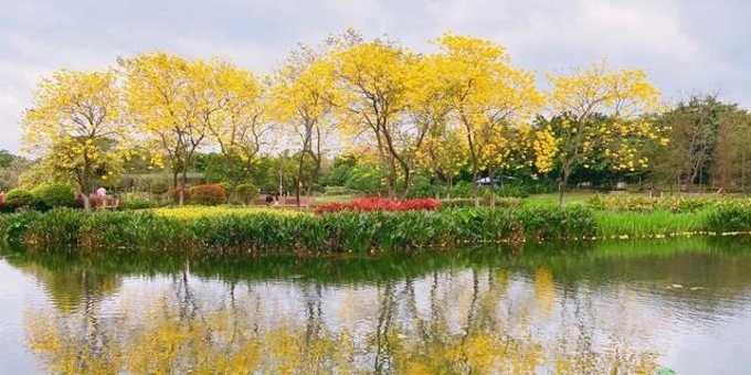  在白云湖听见花开 遇见新春的美好！
