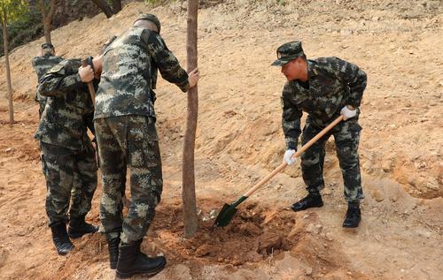 武警广东总队执勤第一支队组织义务植树活动