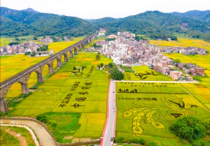 助力粤美乡村建设第三届广东十大美丽乡村系列活动网络票选结果出炉