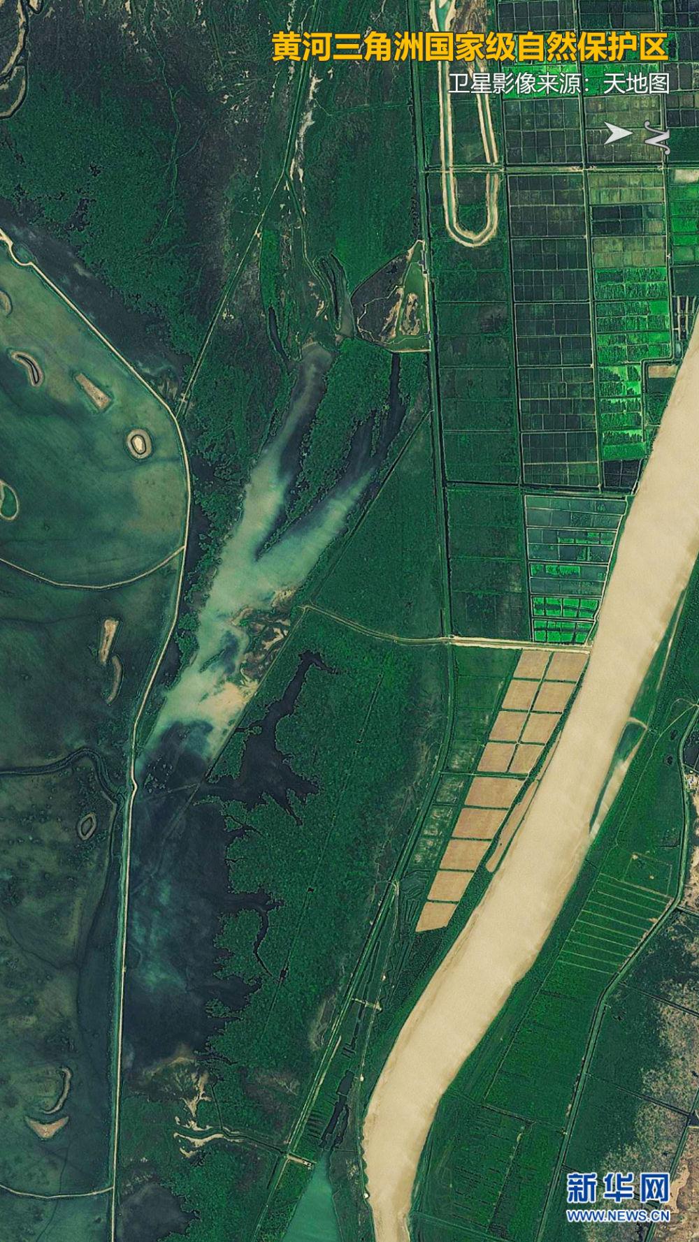 新闻中心>中国>中国聚焦> 卫星视角下的黄河三角洲国家级自然保护区.