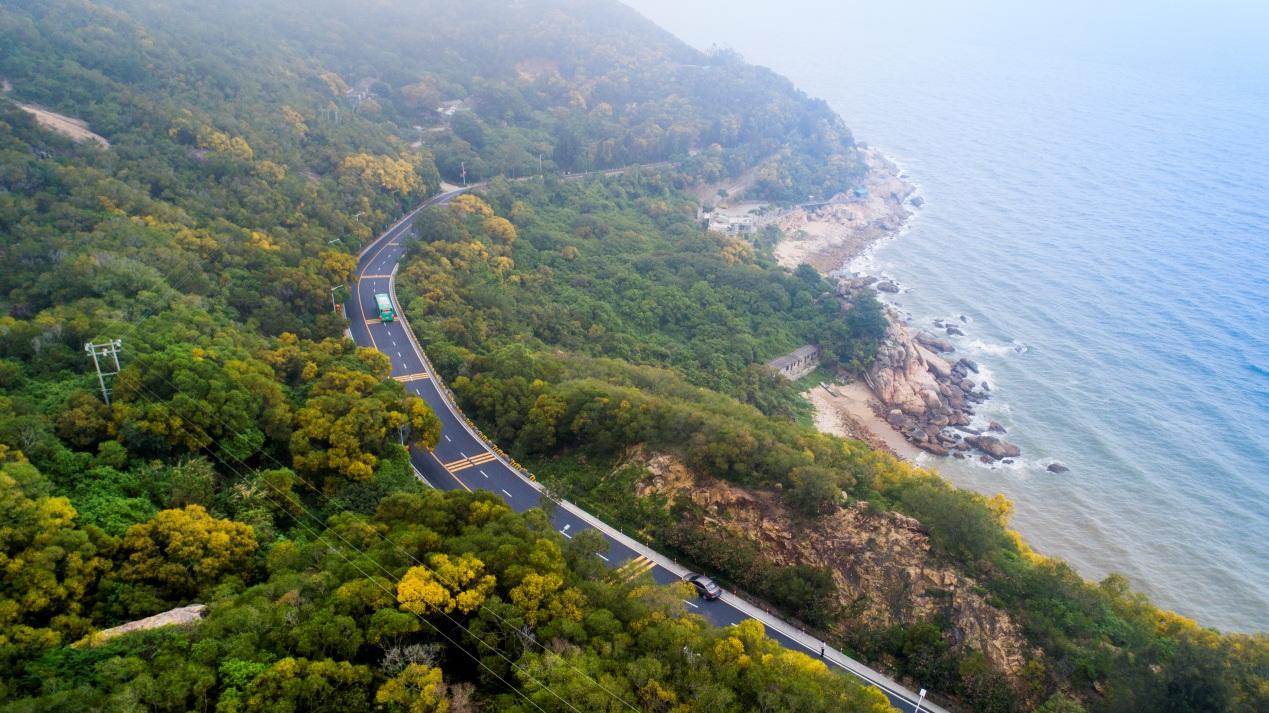 “颜值担当”来了！广东“十大最美普通国省干线公路”“十大最美农村路”发布
