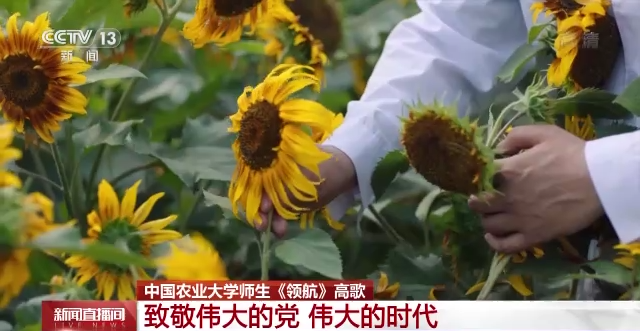 从历史长河到未来航程：颔航时代的启航