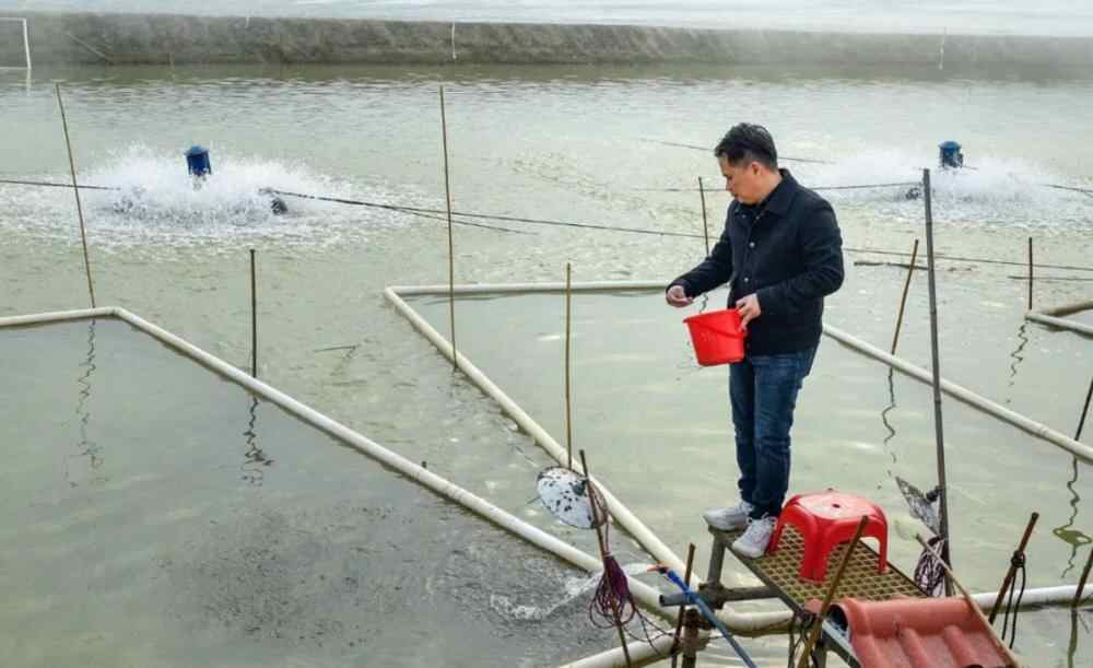 屏幕快照 2022-01-17 下午9.31.21.png