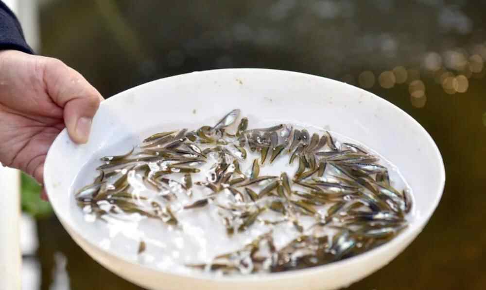 屏幕快照 2022-01-17 下午9.31.11.png