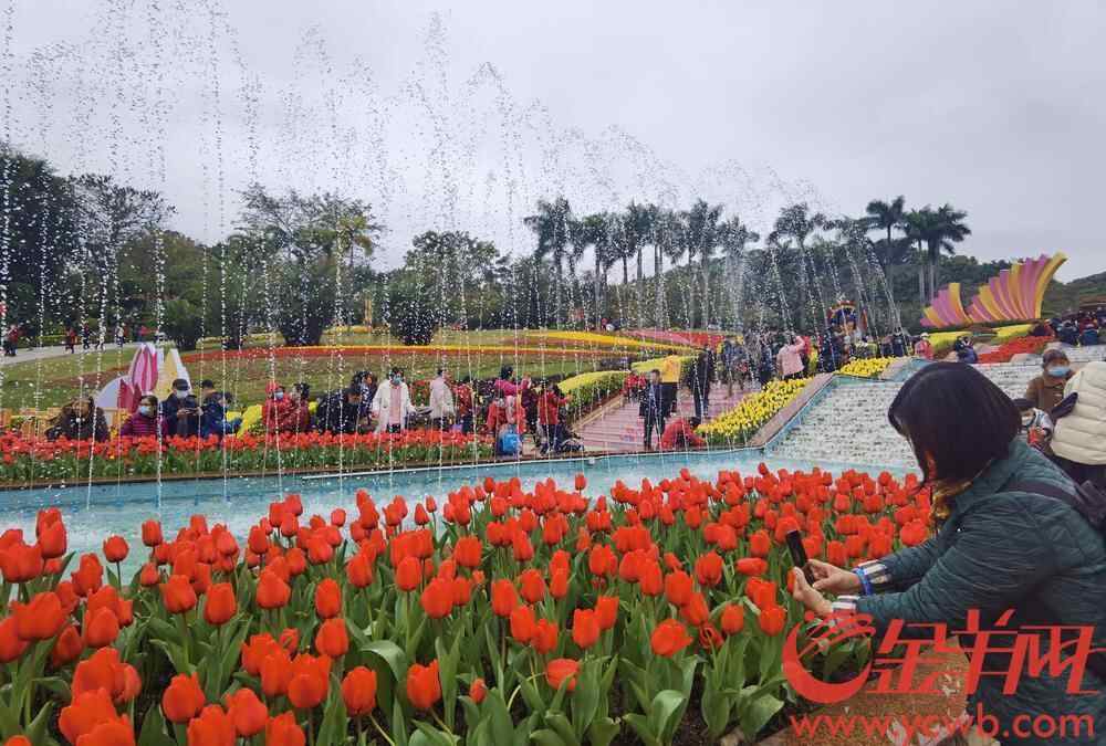 广州云台花园郁金香花展 黎存根 摄.jpg