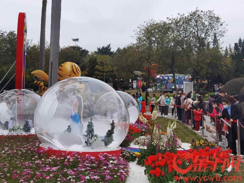 广州云台花园郁金香花展也玩起冰雪元素 黎存根 摄.jpg