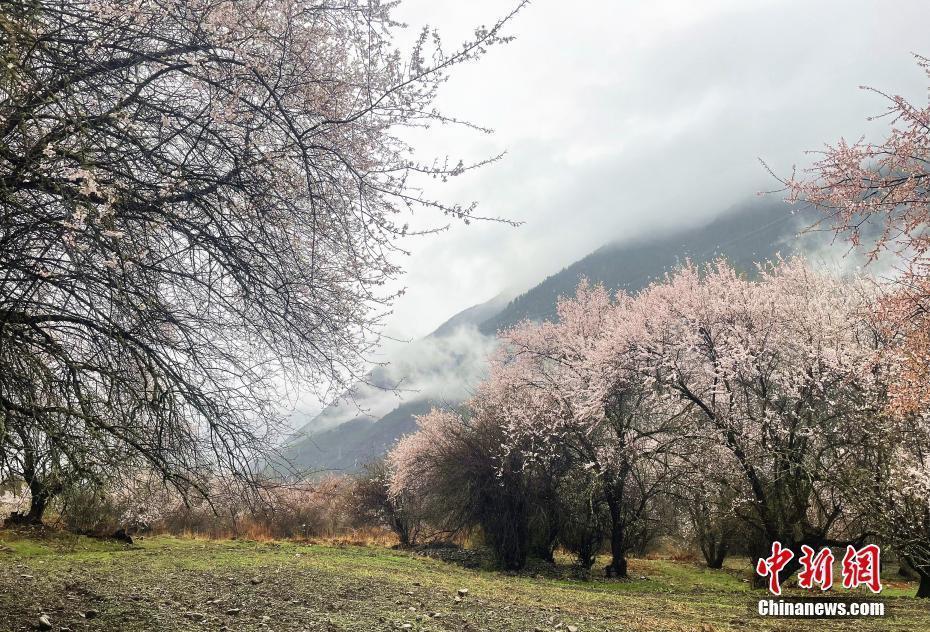 壁纸 风景 930_632