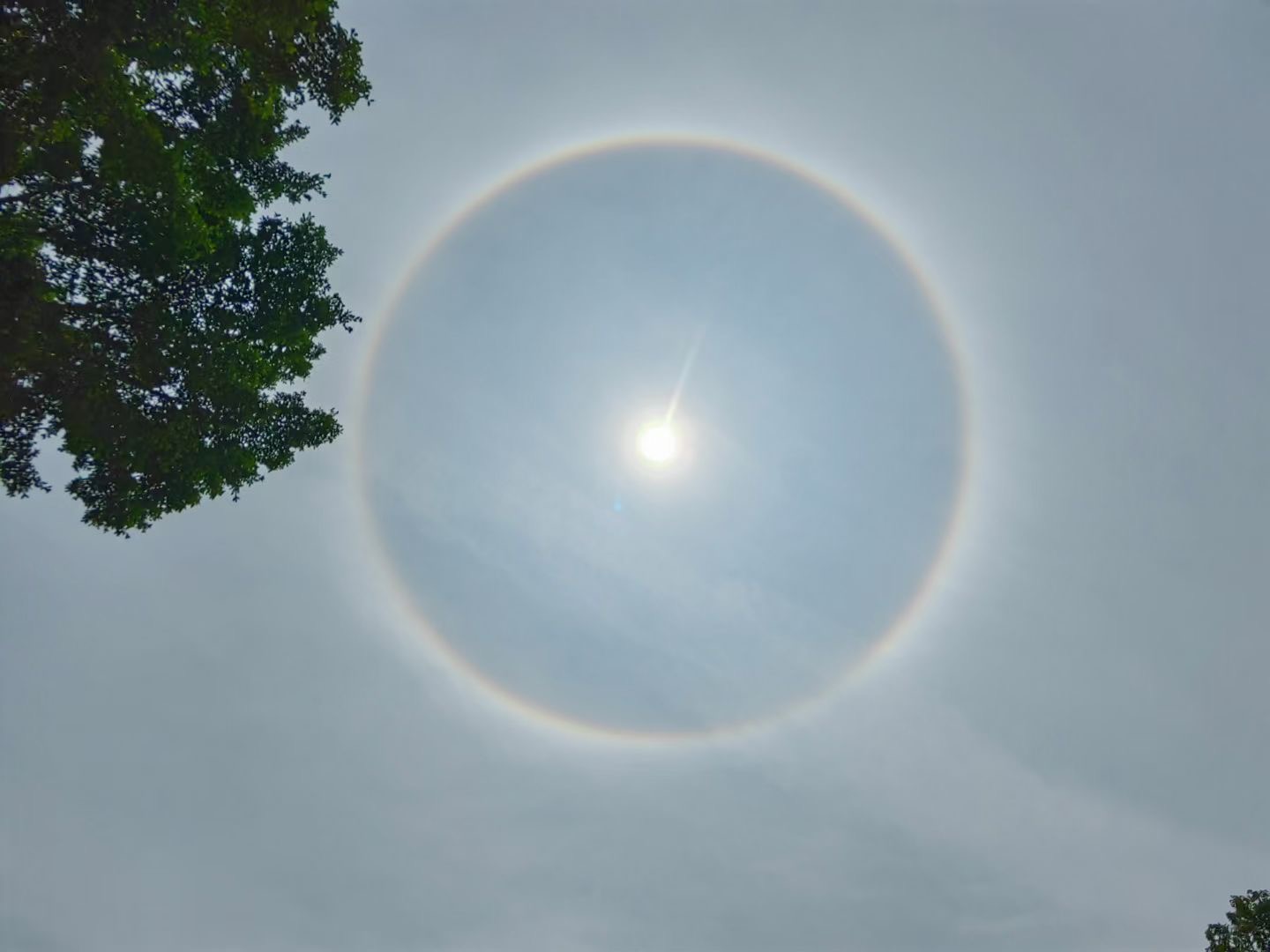 今天深圳的太阳“长了个圈圈”，您有看到吗？