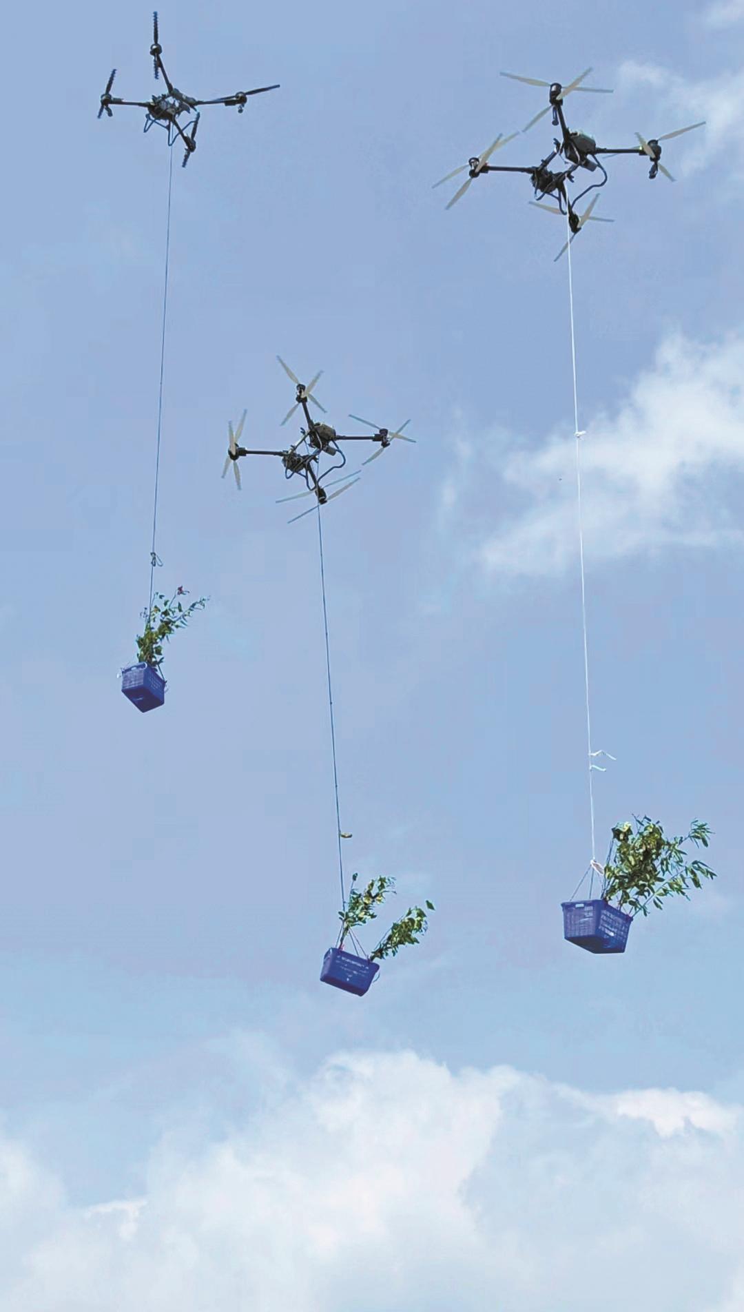 无人机“上岗”山地造林提效18倍两个试点区已用无人机运输苗木约40万株、